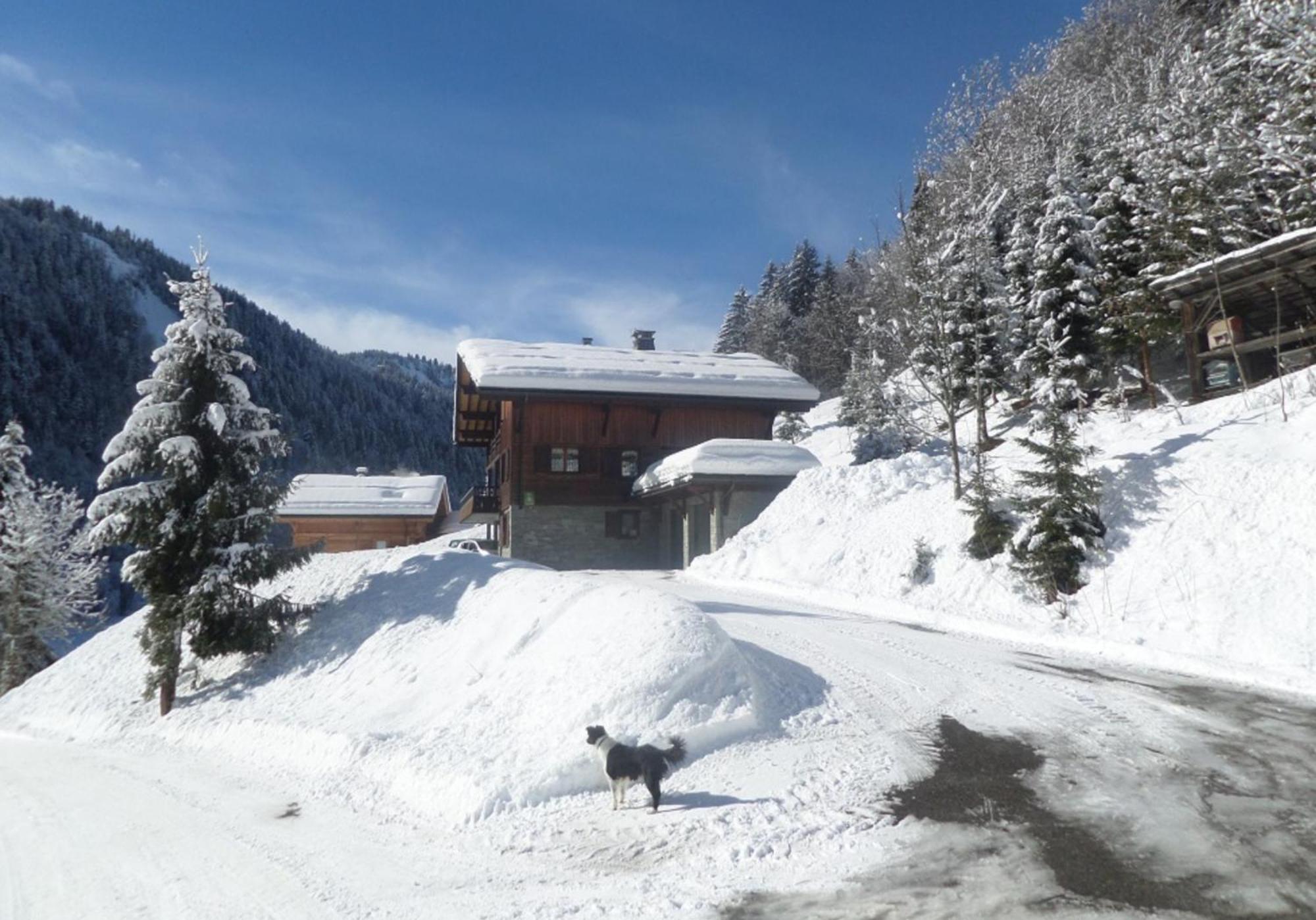 Les Gentianes Villa Le Grand-Bornand Luaran gambar